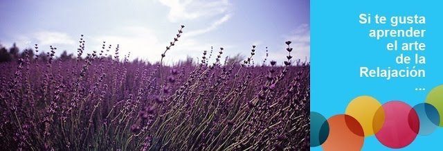 En abril: «Introducción al mindfulness» con Centro Vitae Psicología