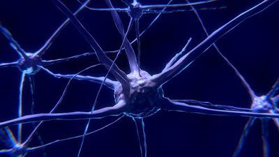 Neurofeedback: un tratamiento eficaz en TDAH